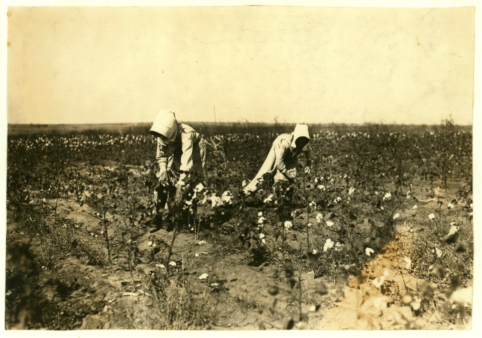 Hazel Davis, Tinney, Okla. 7 years old. Picks 50 pounds of cotton in half a day, according to testimony of father and brother. Father owns farm. Hazel goes to Prairie Lee School. LOC nclc.00607
