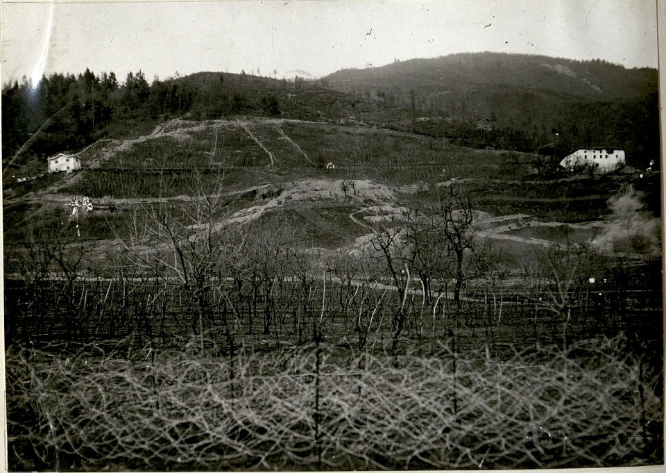 Hauptübung des Sturmkurses in Levico, Explosionen von Handgranaten und Minen (BildID 15622927)