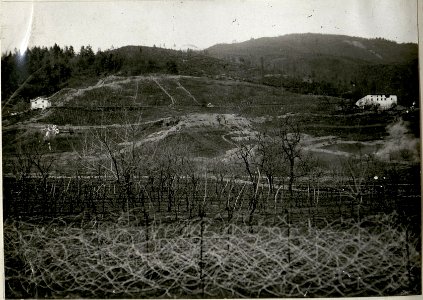 Hauptübung des Sturmkurses in Levico, Explosionen von Handgranaten und Minen (BildID 15622927)
