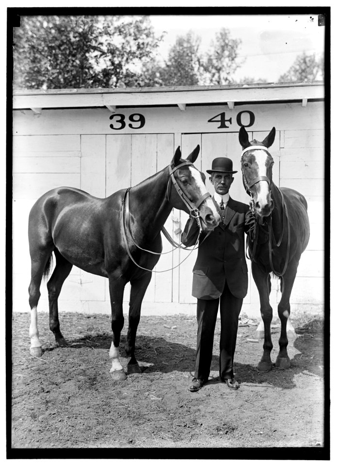 HAZEN, MELVIN C. HORSE SHOW; HIS HORSES LCCN2016865460