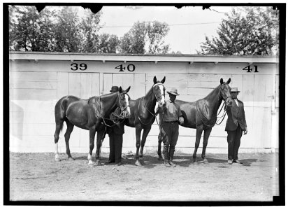 HAZEN, MELVIN C. HORSE SHOW; HIS HORSES LCCN2016865462