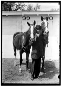 HAZEN, MELVIN C. HORSE SHOW; HIS HORSES LCCN2016865461
