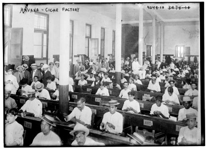 Havana - Cigar factory LCCN2014703164