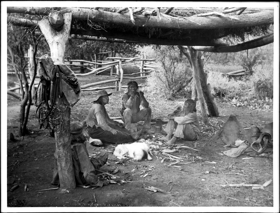 Havasupai Indian men sitting at Waluthama's hawa in Havasu Village, ca.1899 (CHS-4702)