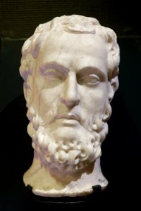Head bearded man MAB D875-2.1