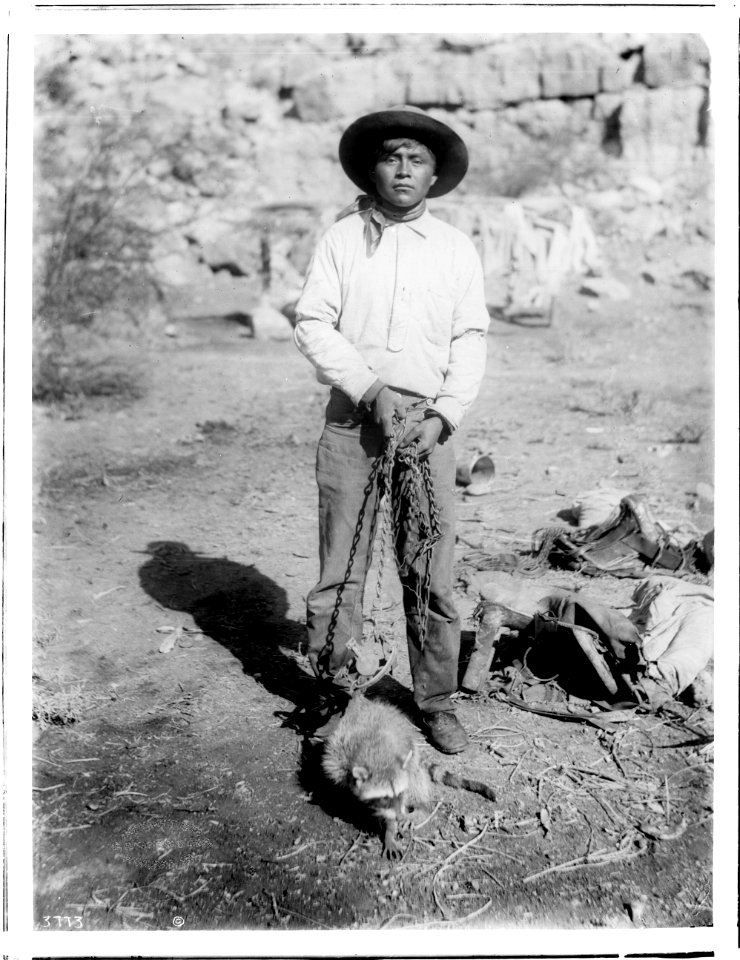 Havasupai Indian boy with a captured raccoon, ca.1899 (CHS-3773)