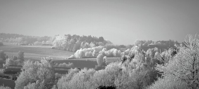 Icy hoarfrost bitter cold photo