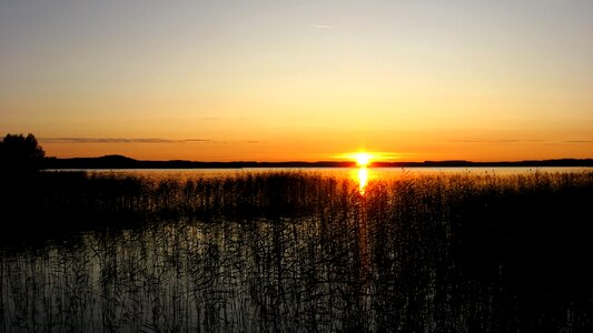 Abendstimmung midsummer idyll photo