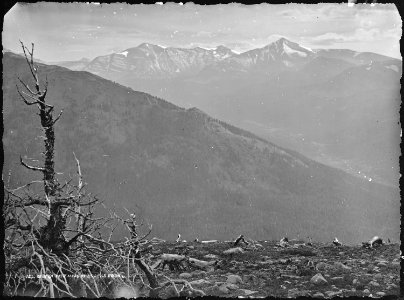 Head of Black's Fork, Uinta Mountains. Summit County, Utah - NARA - 516927