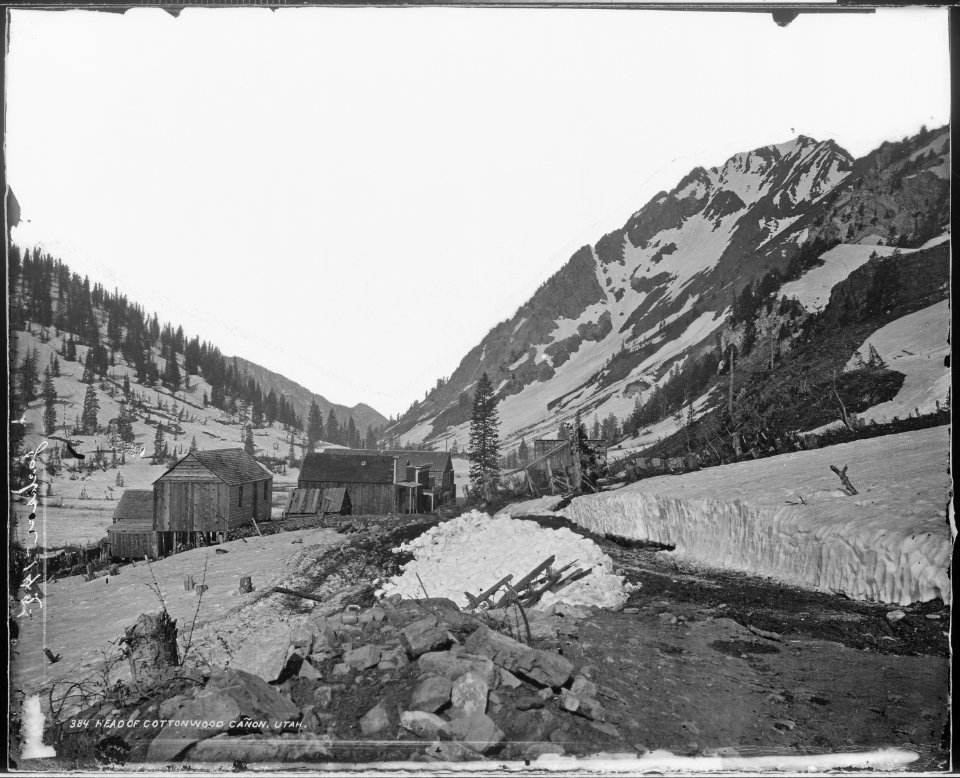 Head of Cottonwood Canyon, Morgan County, Utah - NARA - 516750