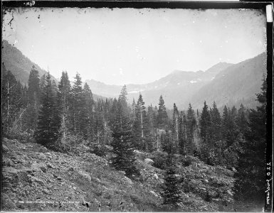 Head of Middle Creek, near Bozeman, Gallatin County, Montana. - NARA - 516829