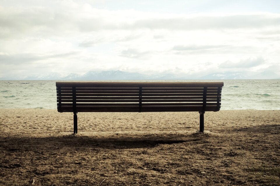 Wave nature bench