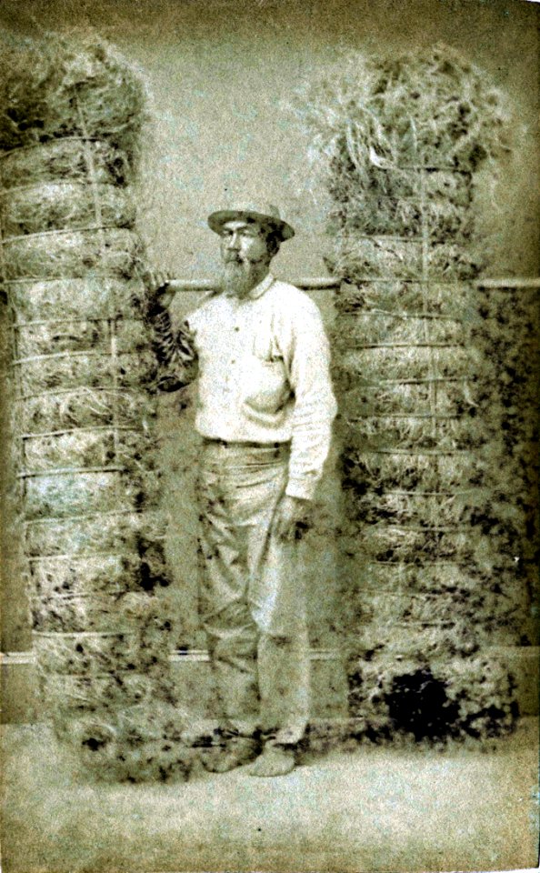 Hawaiian Grass Dealer, photograph by Menzies Dickson