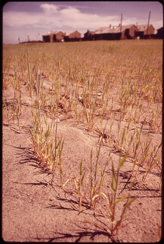 Hayden-island-condominiums-are-constructed-on-sand-dunes-051973 4271581621 o