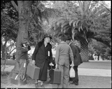 Hayward, California. This farm family of Japanese ancestry are ready to board the evacuation bus wh . . . - NARA - 537518 photo