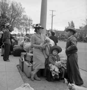 Hayward, California. With baggage piled on sidewalk, evacuees of Japanese ancestry await evacuation . . . - NARA - 537523 photo