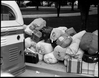 Hayward, California. Baggage of evacuees of Japanese ancestry stacked at public park as evacuation . . . - NARA - 537500 photo