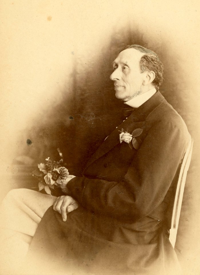 HCA 1870 by Georg E. Hansen, detail