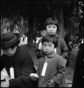 Hayward, California. Two children of the Mochida family who, with their parents, are awaiting evacu . . . - NARA - 537507 photo