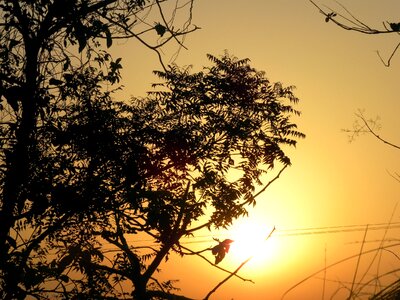 Nature light sun