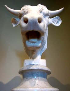Head of a Bull - 4