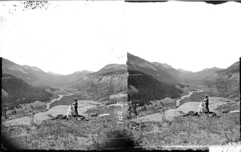 Headwaters of Rio Grande, near Pole Creek. Colorado - NARA - 517369