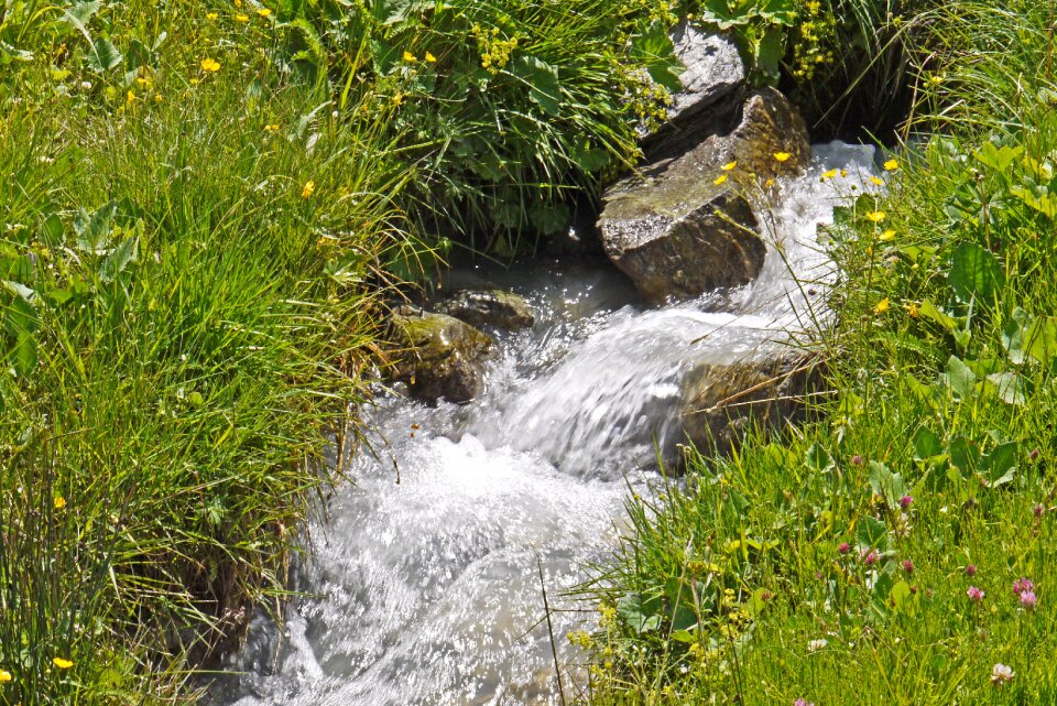 Stones rock torrent