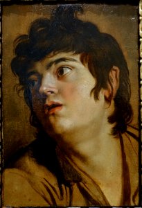 Head of a Young Man, by Peter Paul Rubens, 1601-1602, oil on paper, mounted on panel - Blanton Museum of Art - Austin, Texas - DSC07798 photo