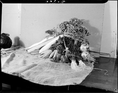 Heart Mountain Relocation Center, Heart Mountain, Wyoming. Of the many crops grown by the Agricultr . . . - NARA - 539595