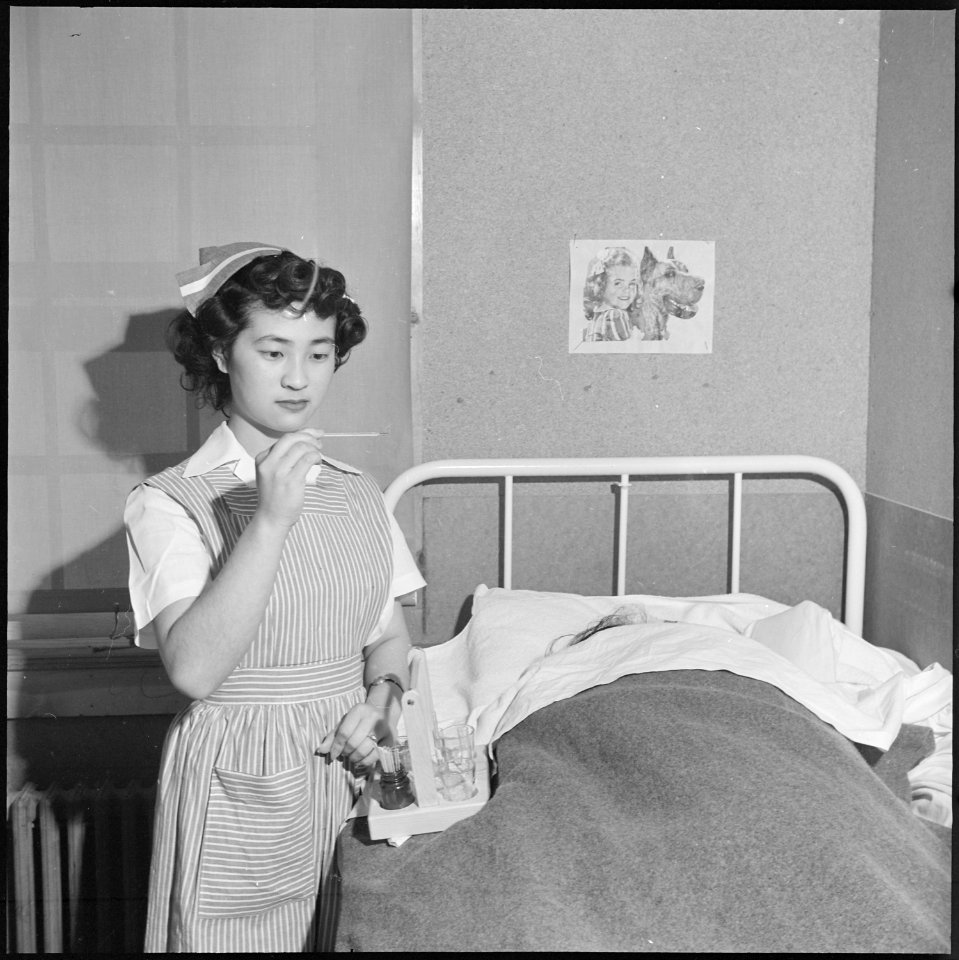 Heart Mountain Relocation Center, Heart Mountain, Wyoming. Nurses aide, Dixie Honda, taking the tem . . . - NARA - 539728