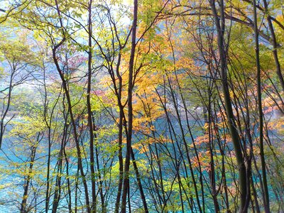 Jiuzhaigou sichuan color