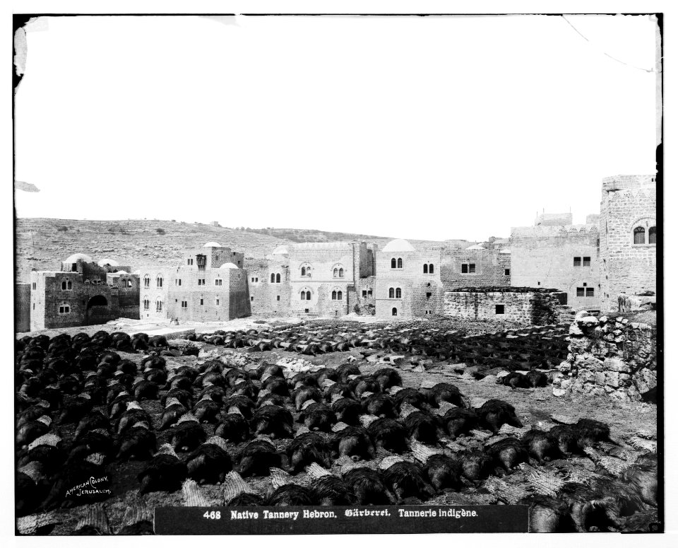 Hebron (El-Khalil). Tanning skins for water bottles LOC matpc.06773