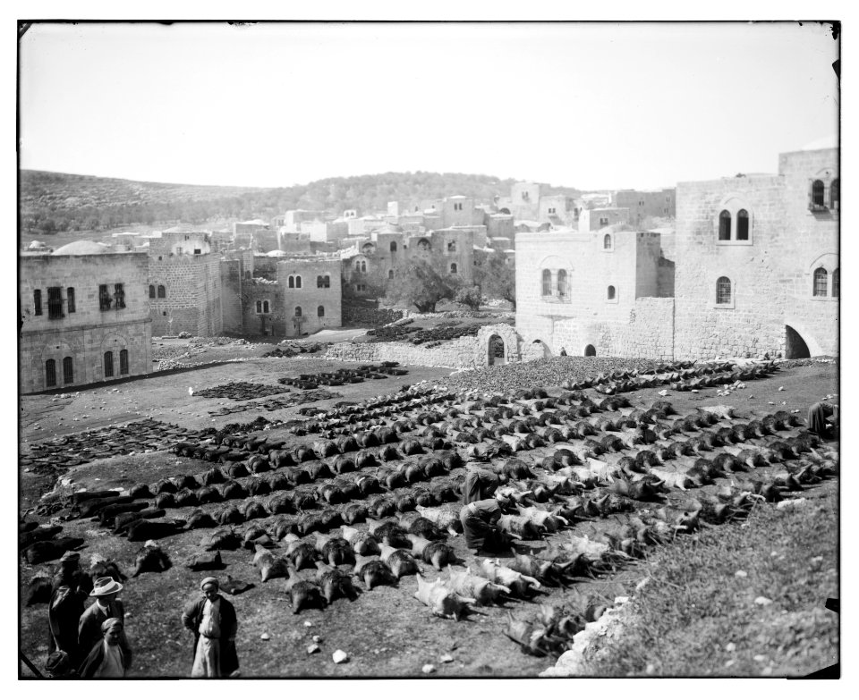 Hebron (El-Khalil). Tanning skins for water bottles LOC matpc.06774