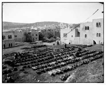 Hebron (El-Khalil). Tanning skins for water bottles LOC matpc.06775