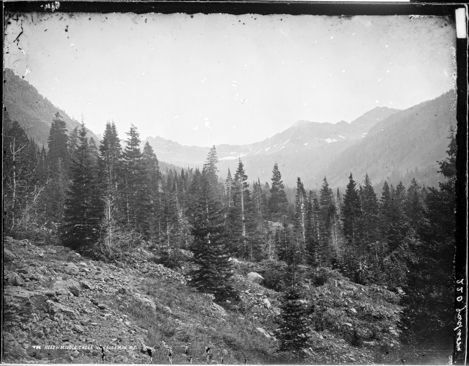 Head of Middle Creek, near Bozeman, Gallatin County, Montana. - NARA - 516829