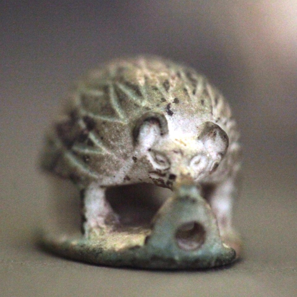 Hedgehog-A 2004-0072-IMG 1107