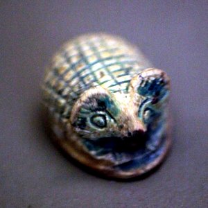 Hedgehog-A 2004-0073-IMG 1104