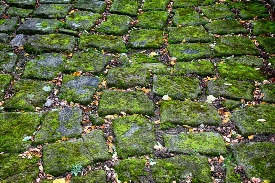 Roof basalt paving stones