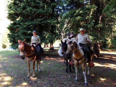 Heading out on the trail (40442359481)