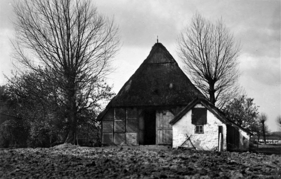 Heidekate im Schlüsbeker Moor (Kiel 70.294)