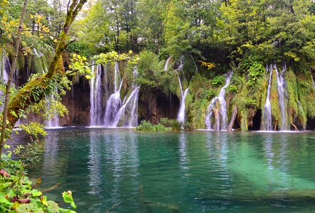 Croatia water forest photo