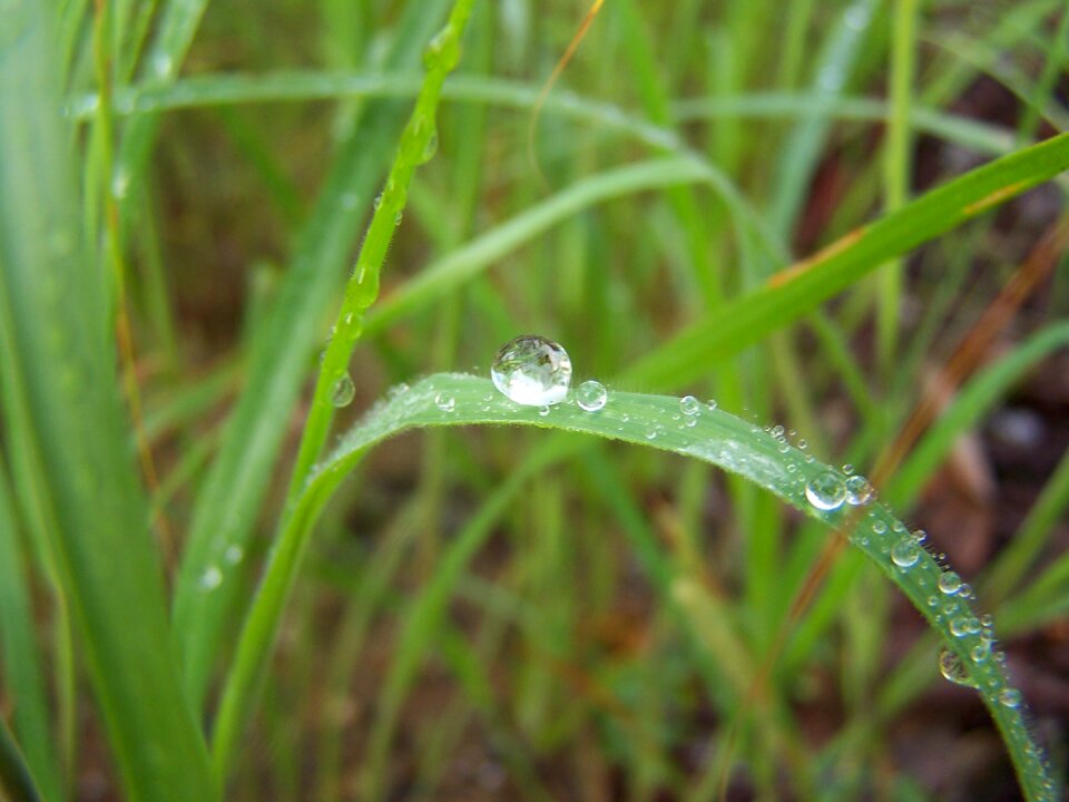Nature macro drop of water