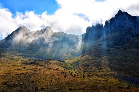 Landscapes nature grass mountain