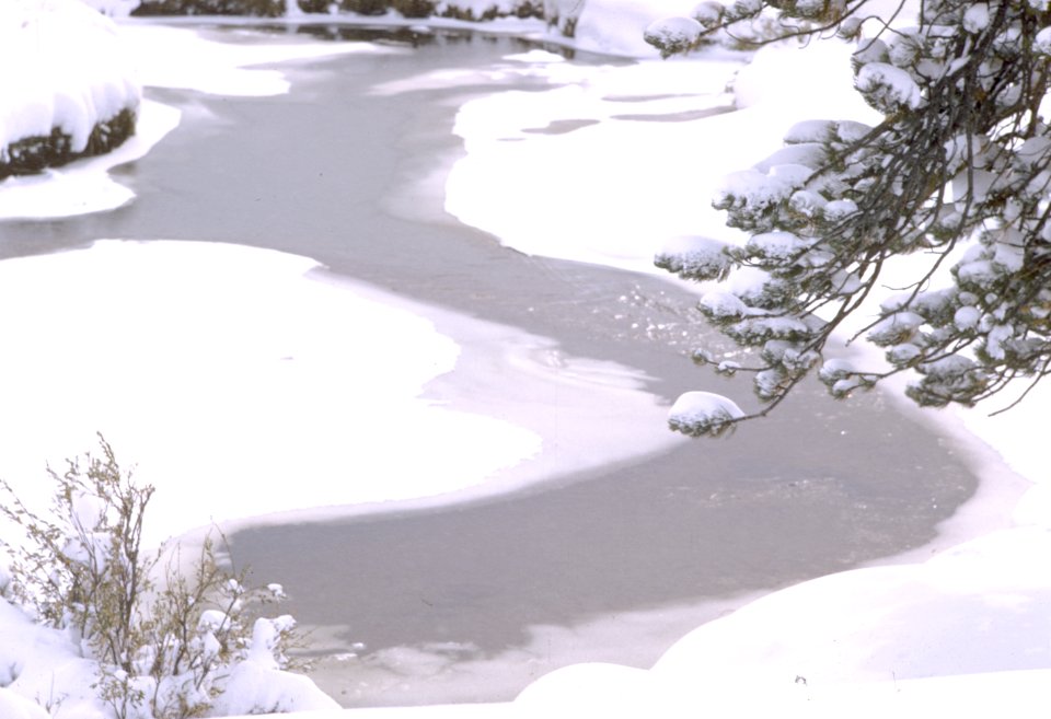 Headwaters Colorado River Rocky Mountain National Park Colorado USA