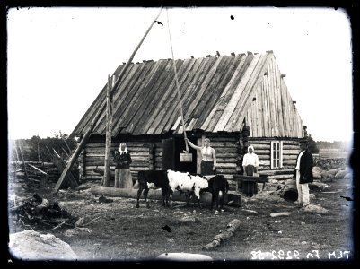 Heinrich Tiidermann - Loomade jootmine talu õuel