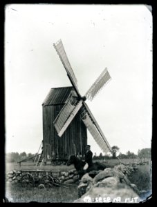 Heinrich Tiidermann - Pukk-tuulik Pärnumaal
