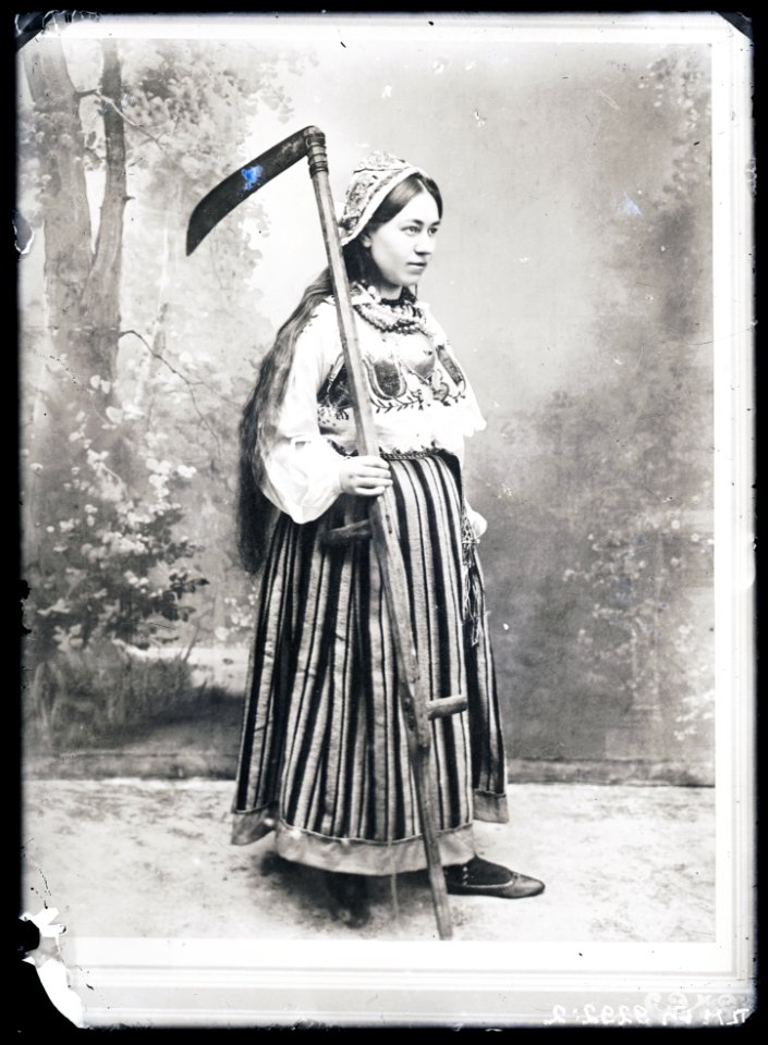 Heinrich Tiidermann - Põhja-Eesti neiu vikatiga