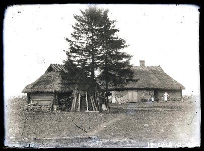Heinrich Tiidermann - Saunakoht Harju-Jaanis