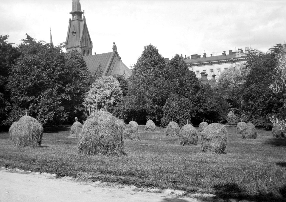 Heinät seipäillä Tähtitorninmäellä - N1865 (hkm.HKMS000005-000001l2)
