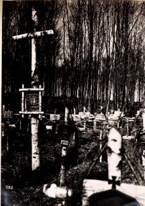 Heldenfriedhof Lir.28. (28-III.1918.) (BildID 15714077)